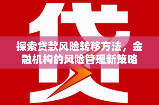 成县探索贷款风险转移方法，金融机构的风险管理新策略
