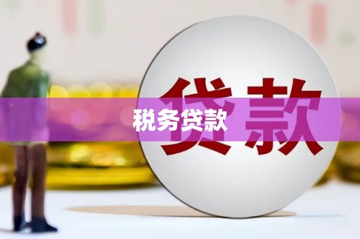 成县税务贷款