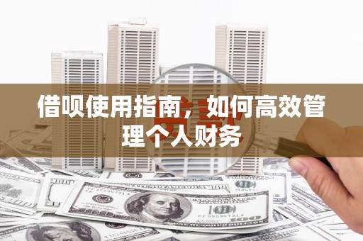 成县借呗使用指南，如何高效管理个人财务