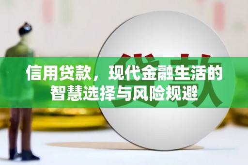 成县信用贷款，现代金融生活的智慧选择与风险规避