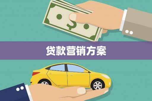 成县贷款营销方案