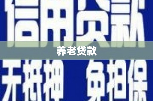 成县养老贷款