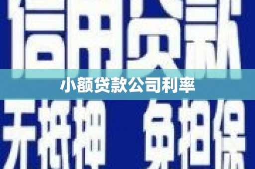 成县小额贷款公司利率
