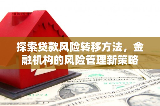 成县探索贷款风险转移方法，金融机构的风险管理新策略