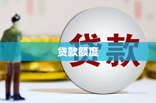 成县贷款额度