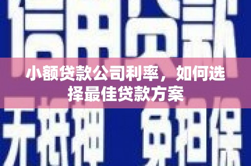成县小额贷款公司利率，如何选择最佳贷款方案