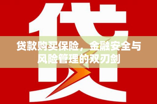 成县贷款购买保险，金融安全与风险管理的双刃剑