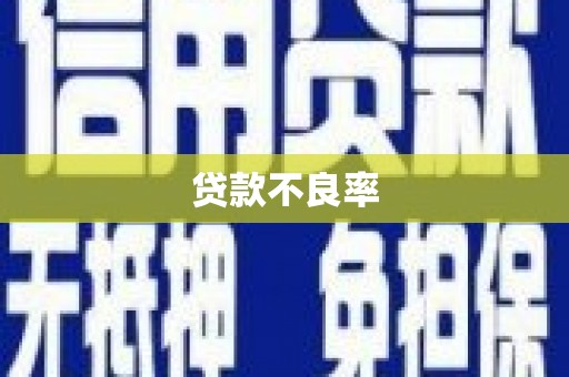 成县贷款不良率