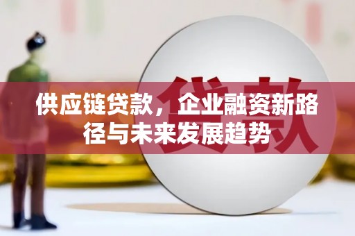 成县供应链贷款，企业融资新路径与未来发展趋势