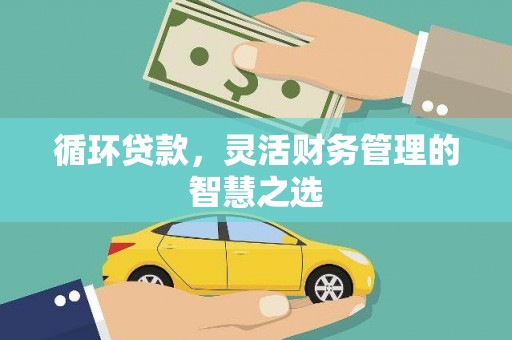 成县循环贷款，灵活财务管理的智慧之选