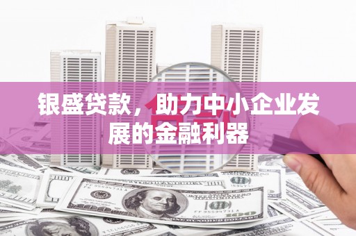 成县银盛贷款，助力中小企业发展的金融利器