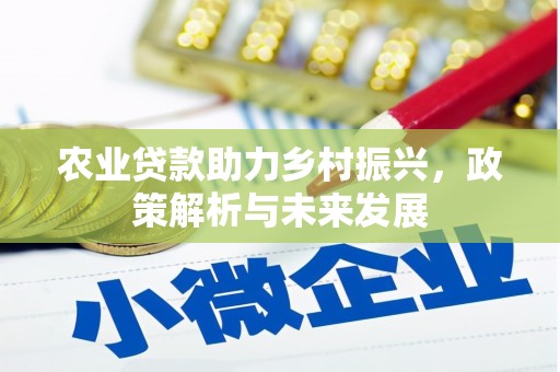 成县农业贷款助力乡村振兴，政策解析与未来发展