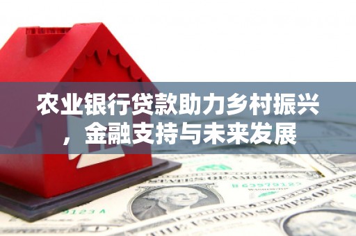 成县农业银行贷款助力乡村振兴，金融支持与未来发展