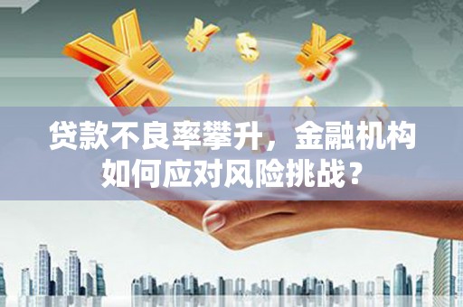 成县贷款不良率攀升，金融机构如何应对风险挑战？