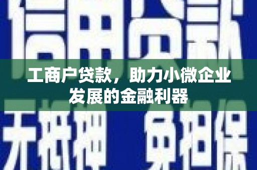 成县工商户贷款，助力小微企业发展的金融利器