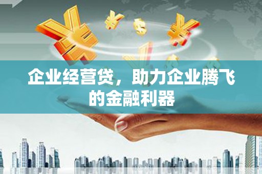 成县企业经营贷，助力企业腾飞的金融利器