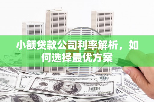 成县小额贷款公司利率解析，如何选择最优方案