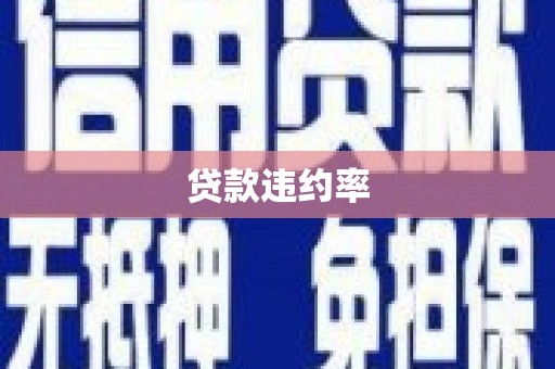 成县贷款违约率