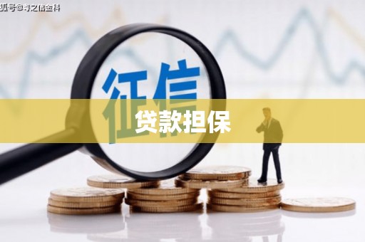 成县贷款担保