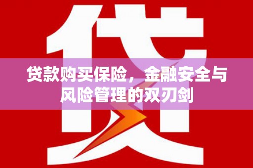 成县贷款购买保险，金融安全与风险管理的双刃剑