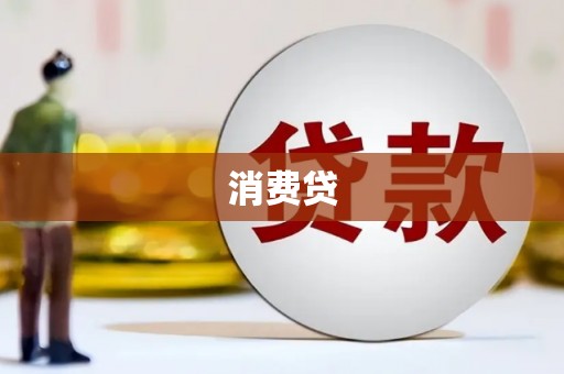成县消费贷