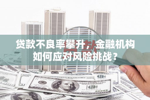 成县贷款不良率攀升，金融机构如何应对风险挑战？
