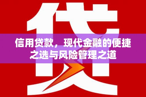 成县信用贷款，现代金融的便捷之选与风险管理之道