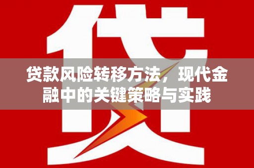 成县贷款风险转移方法，现代金融中的关键策略与实践