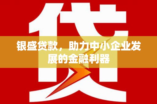 成县银盛贷款，助力中小企业发展的金融利器