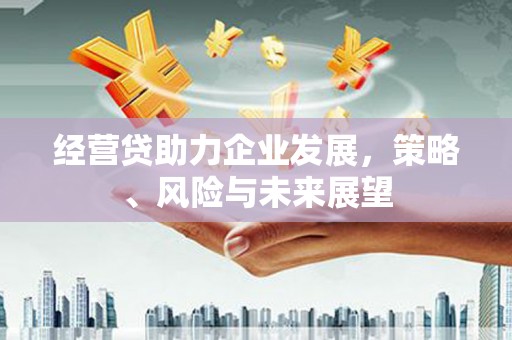 成县经营贷助力企业发展，策略、风险与未来展望