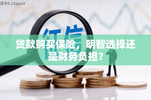 成县贷款购买保险，明智选择还是财务负担？