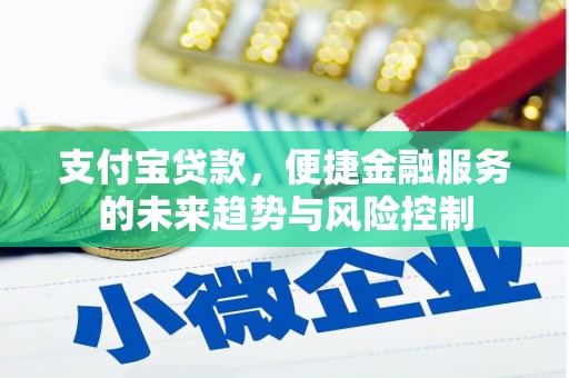 成县支付宝贷款，便捷金融服务的未来趋势与风险控制