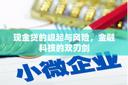 成县现金贷的崛起与风险，金融科技的双刃剑