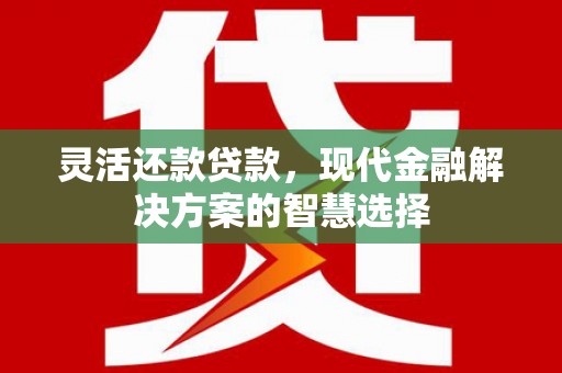 成县灵活还款贷款，现代金融解决方案的智慧选择