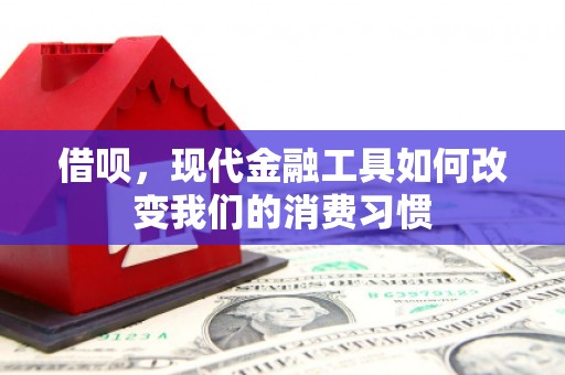 成县借呗，现代金融工具如何改变我们的消费习惯