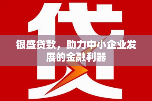 成县银盛贷款，助力中小企业发展的金融利器