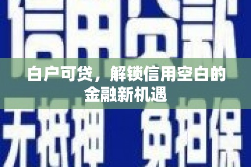 成县白户可贷，解锁信用空白的金融新机遇