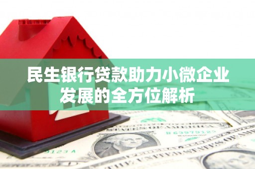 成县民生银行贷款助力小微企业发展的全方位解析