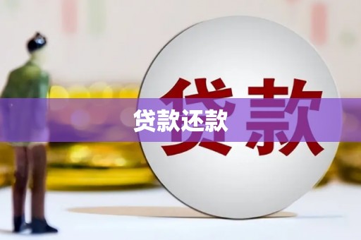 成县贷款还款
