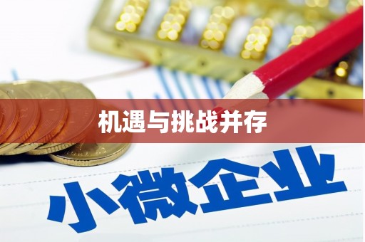 成县机遇与挑战并存
