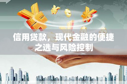 成县信用贷款，现代金融的便捷之选与风险控制