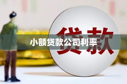 成县小额贷款公司利率