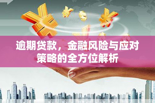 成县逾期贷款，金融风险与应对策略的全方位解析