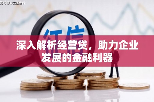成县深入解析经营贷，助力企业发展的金融利器