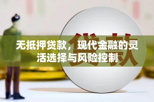 成县无抵押贷款，现代金融的灵活选择与风险控制