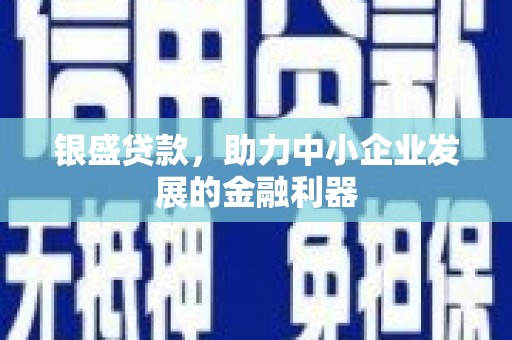 成县银盛贷款，助力中小企业发展的金融利器