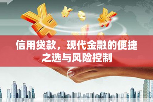 成县信用贷款，现代金融的便捷之选与风险控制
