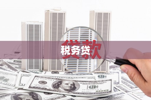 成县税务贷