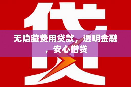 成县无隐藏费用贷款，透明金融，安心借贷