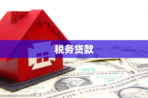 成县税务贷款